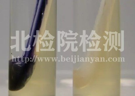 大分子水解實驗