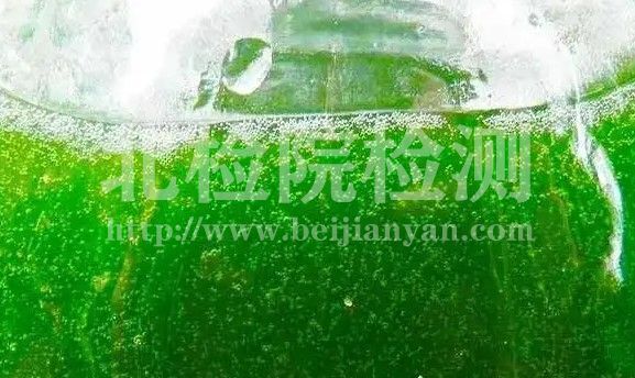 小球藻檢測
