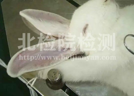 眼部刺激試驗
