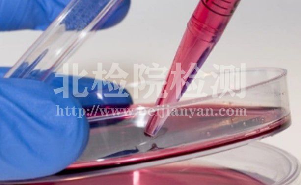 體外細胞毒性試驗