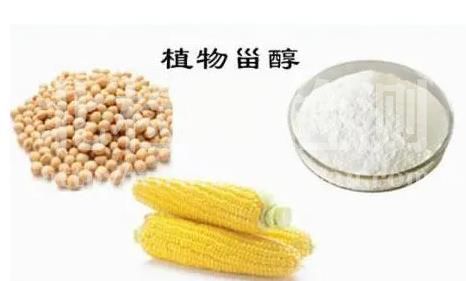 植物甾醇測定