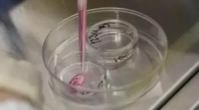 細胞培養物檢測
