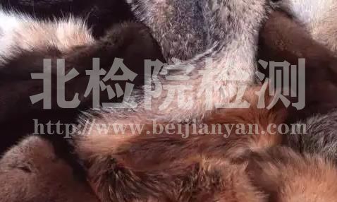 毛皮測試