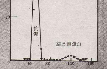 毒蛋白檢測