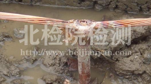 復合接地體檢測