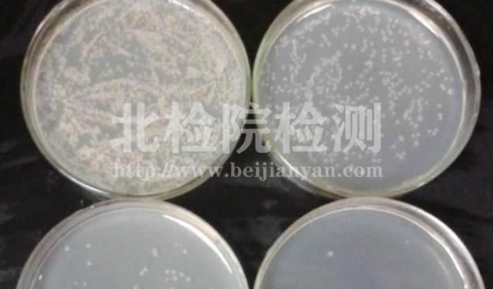 牛肉膏蛋白胨瓊脂培養基檢測