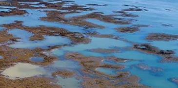 水系沉積物測試
